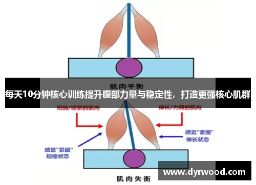每天10分钟核心训练提升腹部力量与稳定性，打造更强核心肌群