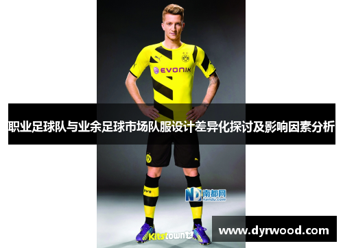 职业足球队与业余足球市场队服设计差异化探讨及影响因素分析