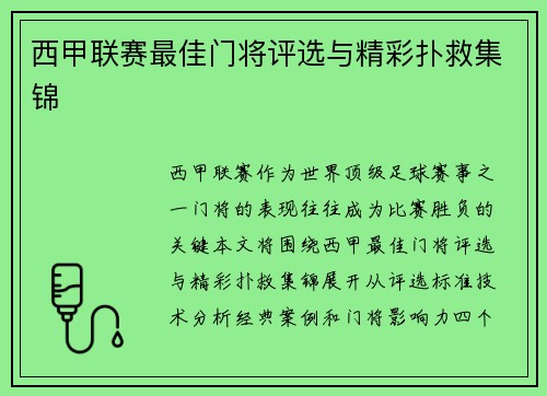 西甲联赛最佳门将评选与精彩扑救集锦