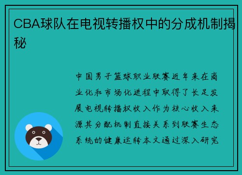 CBA球队在电视转播权中的分成机制揭秘